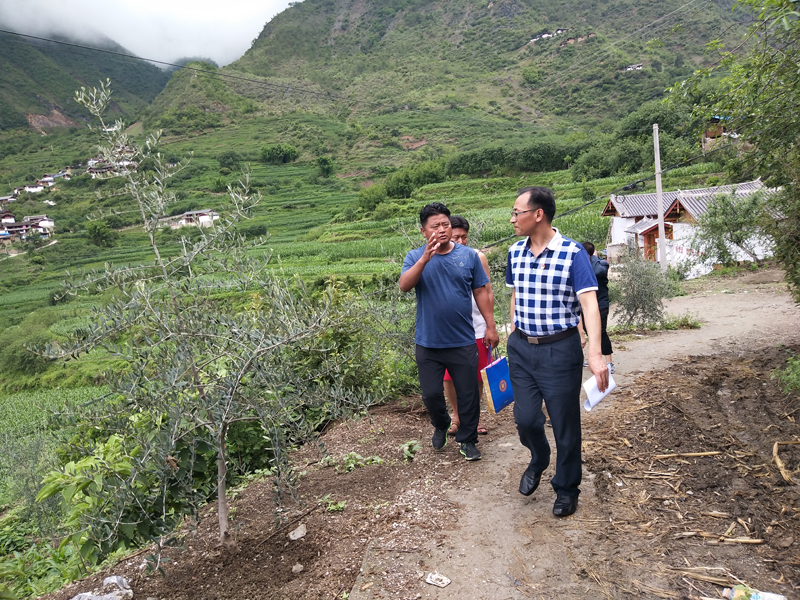 1531730362131806.jpg 走訪路上.jpg