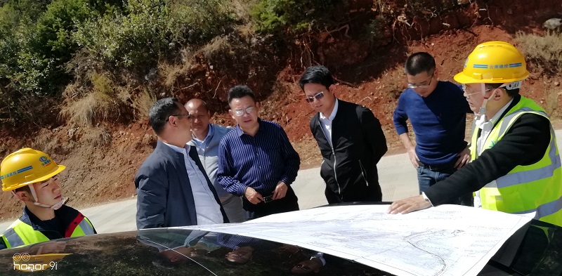 1616388886231397.jpg 檢查鶴劍蘭.jpg